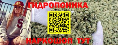 трава Ярославль