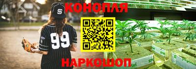 трава Ярославль