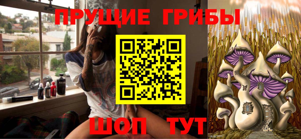 купить   Галлюциногенные грибы MAGIC MUSHROOMS  Вход с VPN  Барнаул 